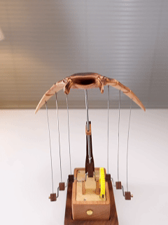 MantaRay Sculpture